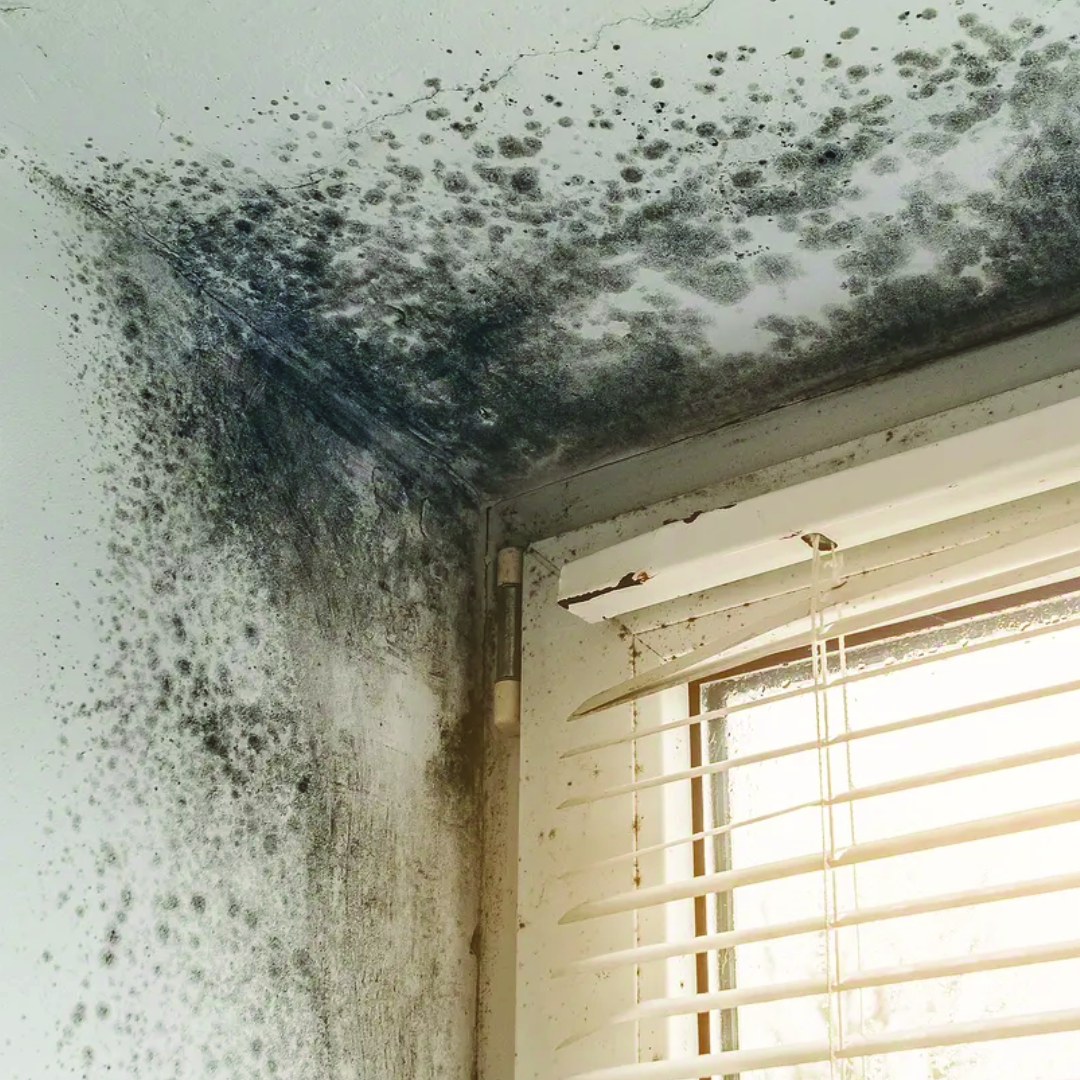 TMR Mold window