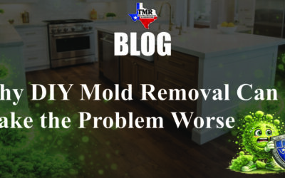 Why DIY Mold Removal Can Make the Problem Worse