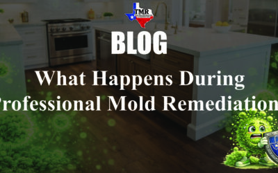 What Happens During Professional Mold Remediation?