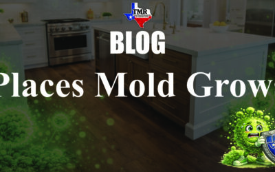 The Most Common Places Mold Grows in Lubbock Homes