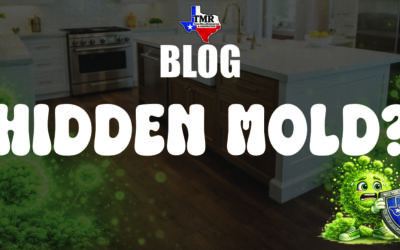 Signs You May Have Hidden Mold in Your Lubbock, Texas Home