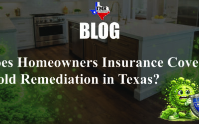 Does Homeowners Insurance Cover Mold Remediation in Texas?