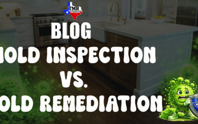 Mold Inspection vs. Mold Remediation: What’s the Difference?