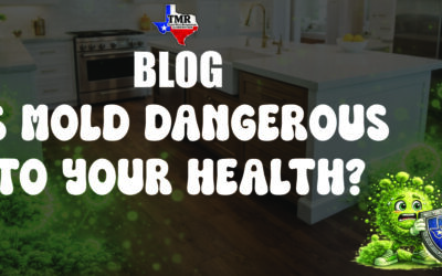 Is Mold Dangerous to Your Health?