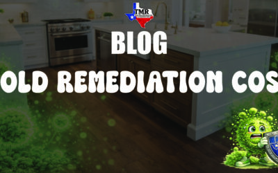How Much Does Mold Remediation Cost in Lubbock, Texas?