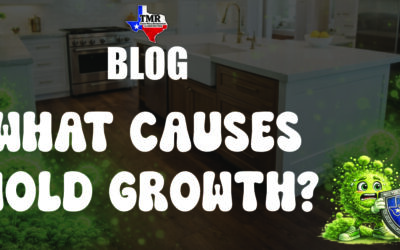 What Causes Mold Growth in West Texas Homes and Businesses?