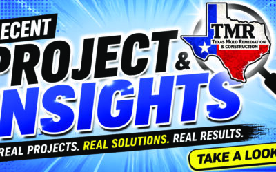 Mold Remediation in Lubbock